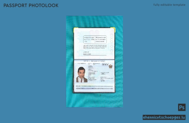 Vorschau eines Beispiels für ein Passfoto aus Südkorea